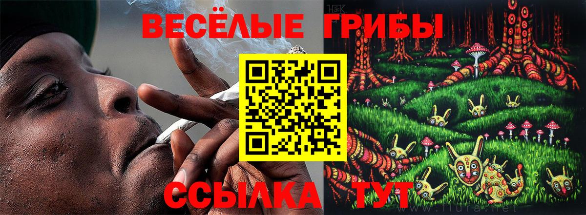 Рыбинск  Псилоцибиновые грибы Psilocybe  Вход с VPN 